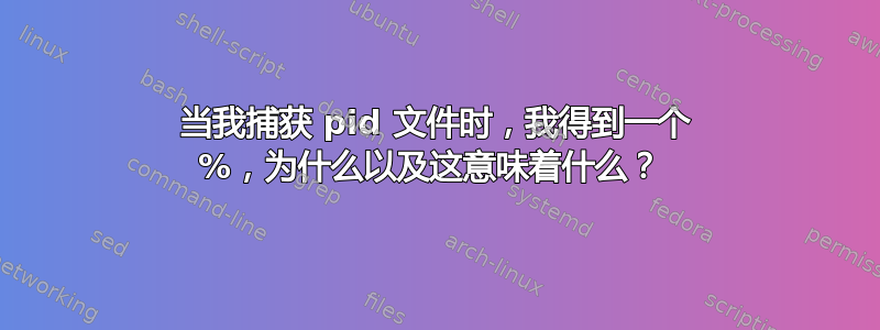 当我捕获 pid 文件时，我得到一个 %，为什么以及这意味着什么？ 