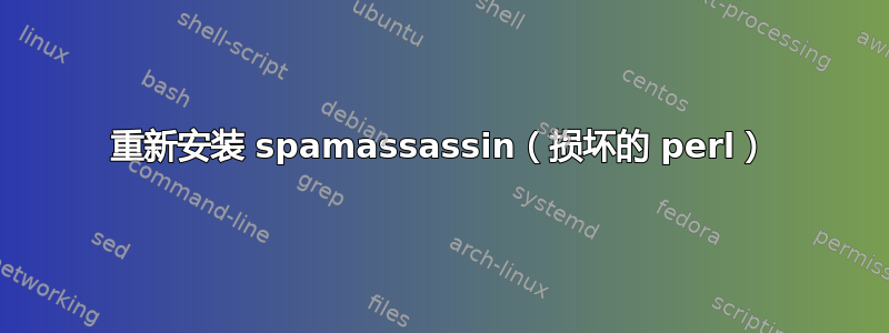 重新安装 spamassassin（损坏的 perl）