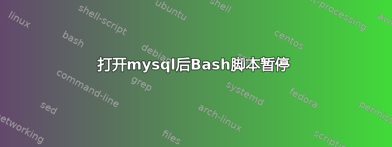 打开mysql后Bash脚本暂停