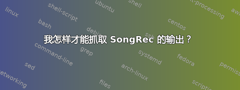 我怎样才能抓取 SongRec 的输出？