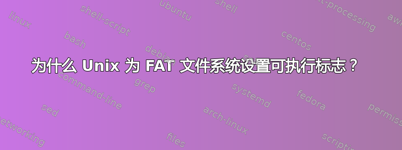 为什么 Unix 为 FAT 文件系统设置可执行标志？ 