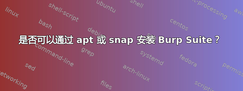 是否可以通过 apt 或 snap 安装 Burp Suite？