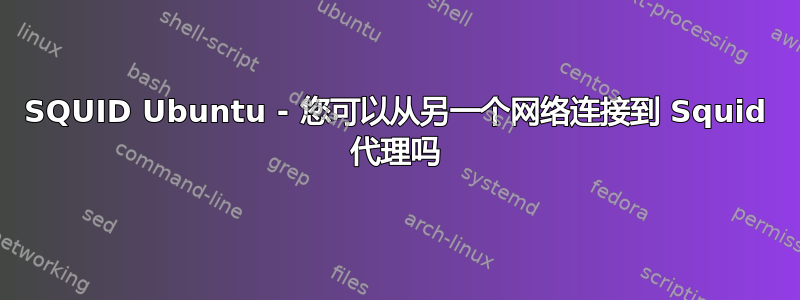 SQUID Ubuntu - 您可以从另一个网络连接到 Squid 代理吗