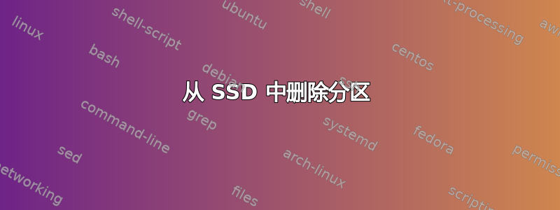 从 SSD 中删除分区