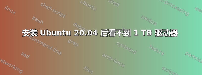 安装 Ubuntu 20.04 后看不到 1 TB 驱动器