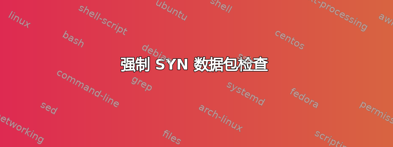 强制 SYN 数据包检查