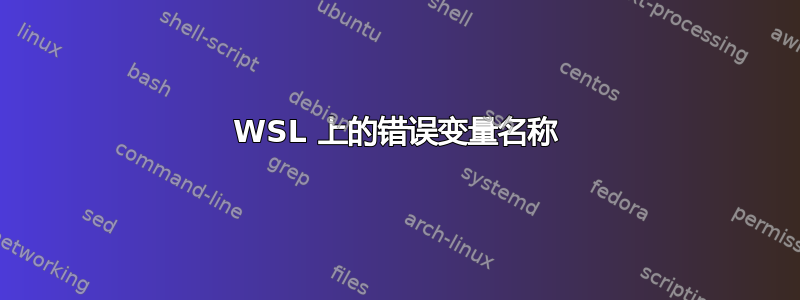 WSL 上的错误变量名称