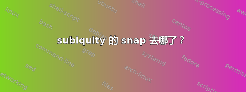 subiquity 的 snap 去哪了？