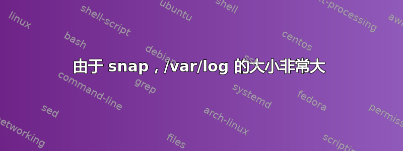 由于 snap，/var/log 的大小非常大