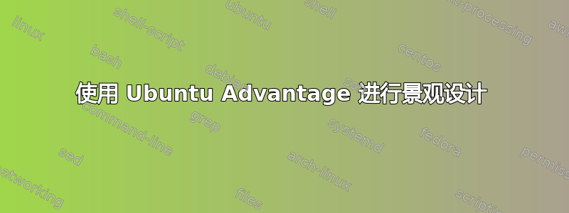 使用 Ubuntu Advantage 进行景观设计