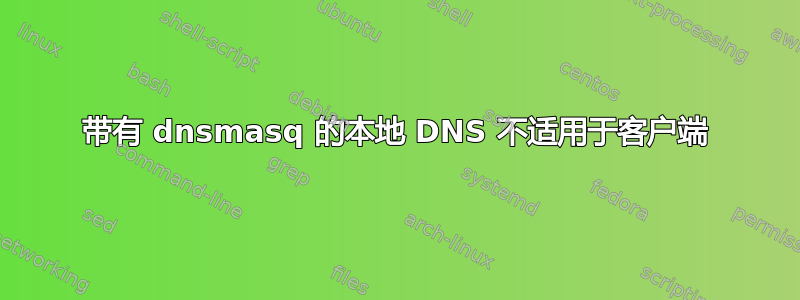 带有 dnsmasq 的本地 DNS 不适用于客户端