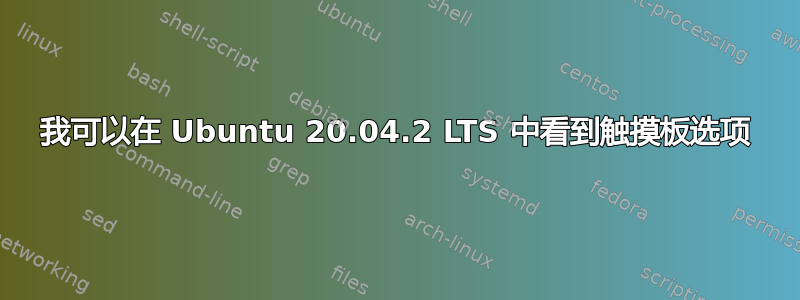 我可以在 Ubuntu 20.04.2 LTS 中看到触摸板选项