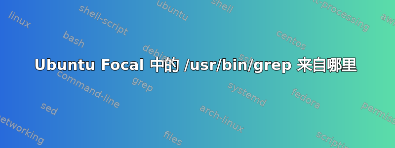 Ubuntu Focal 中的 /usr/bin/grep 来自哪里