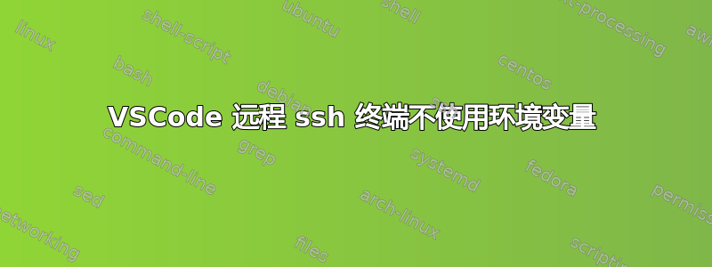 VSCode 远程 ssh 终端不使用环境变量