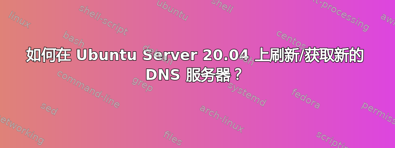 如何在 Ubuntu Server 20.04 上刷新/获取新的 DNS 服务器？