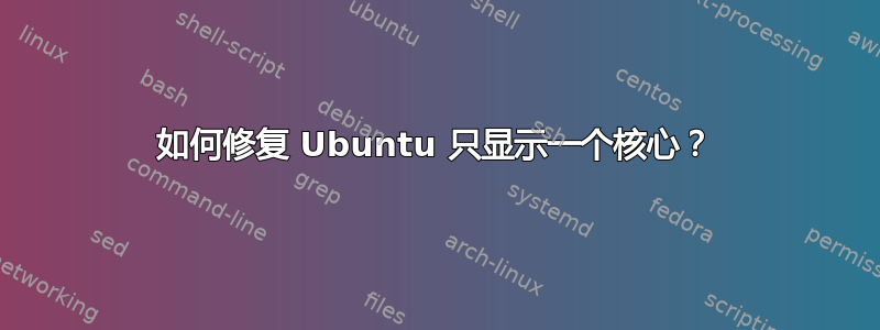 如何修复 Ubuntu 只显示一个核心？