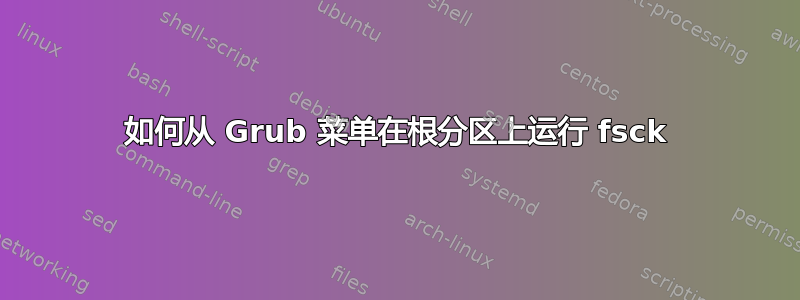 如何从 Grub 菜单在根分区上运行 fsck