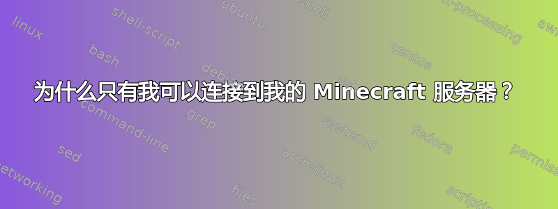 为什么只有我可以连接到我的 Minecraft 服务器？