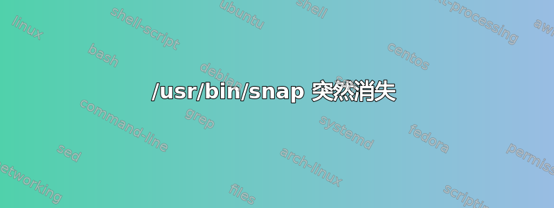 /usr/bin/snap 突然消失