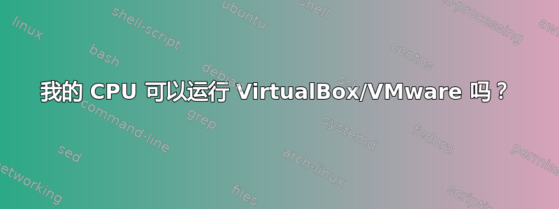 我的 CPU 可以运行 VirtualBox/VMware 吗？