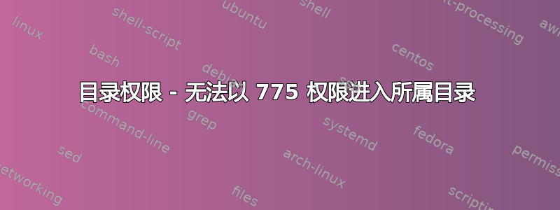 目录权限 - 无法以 775 权限进入所属目录