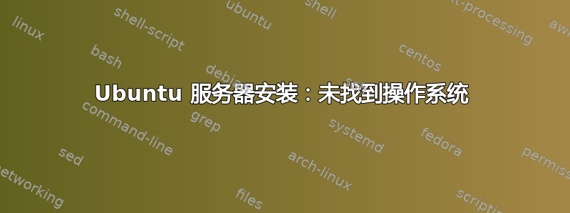 Ubuntu 服务器安装：未找到操作系统