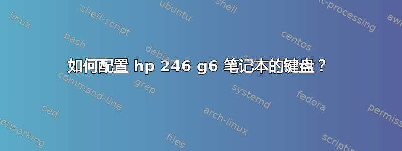 如何配置 hp 246 g6 笔记本的键盘？