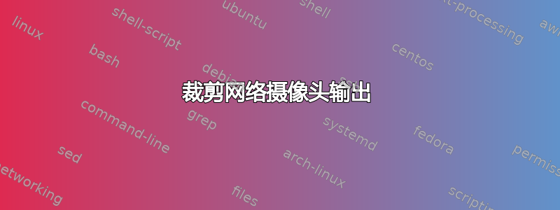 裁剪网络摄像头输出