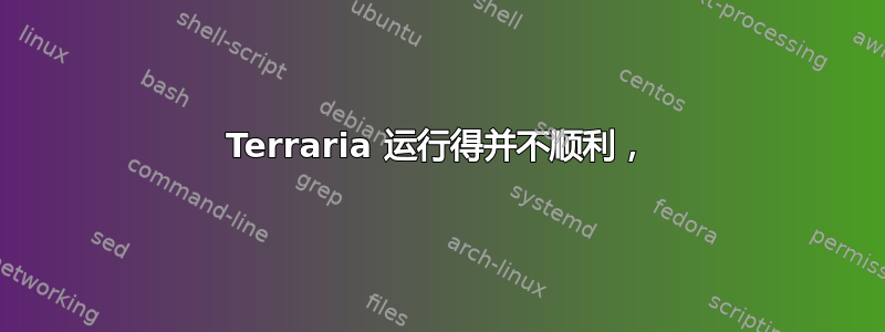 Terraria 运行得并不顺利，