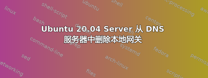 Ubuntu 20.04 Server 从 DNS 服务器中删除本地网关