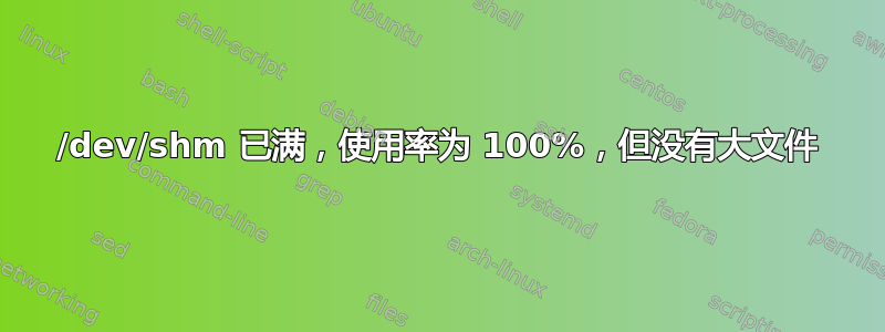 /dev/shm 已满，使用率为 100%，但没有大文件