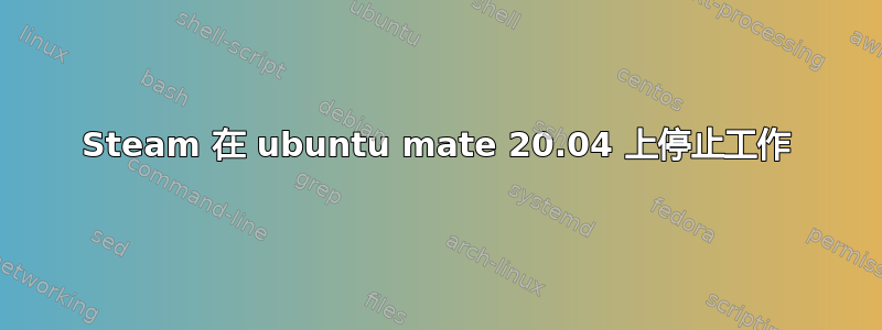 Steam 在 ubuntu mate 20.04 上停止工作