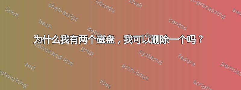 为什么我有两个磁盘，我可以删除一个吗？