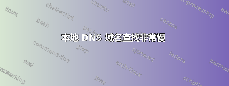 本地 DNS 域名查找非常慢