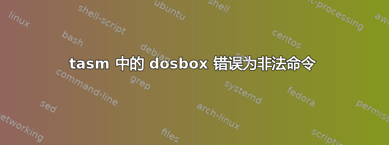 tasm 中的 dosbox 错误为非法命令