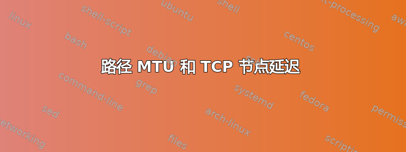 路径 MTU 和 TCP 节点延迟