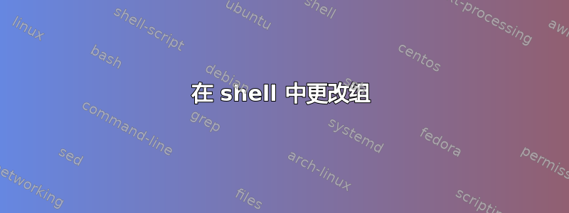 在 shell 中更改组