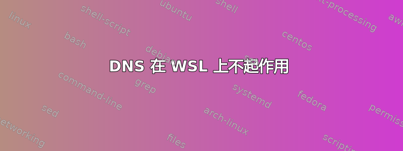 DNS 在 WSL 上不起作用