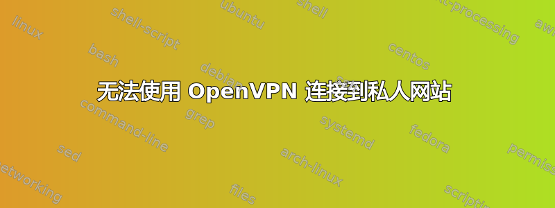 无法使用 OpenVPN 连接到私人网站