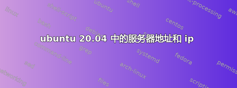 ubuntu 20.04 中的服务器地址和 ip