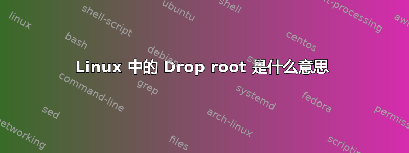 Linux 中的 Drop root 是什么意思