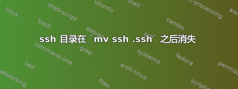 ssh 目录在 `mv ssh .ssh` 之后消失