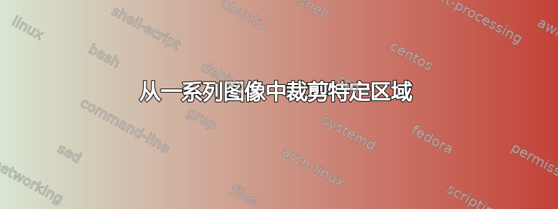 从一系列图像中裁剪特定区域