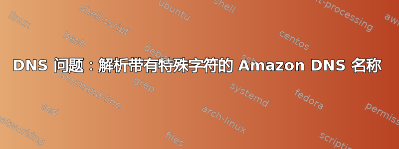 DNS 问题：解析带有特殊字符的 Amazon DNS 名称