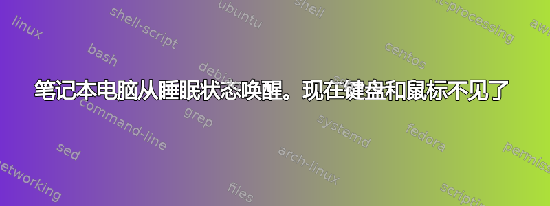 笔记本电脑从睡眠状态唤醒。现在键盘和鼠标不见了