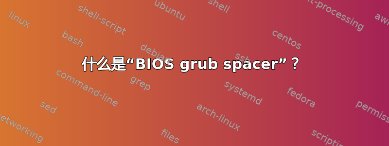 什么是“BIOS grub spacer”？