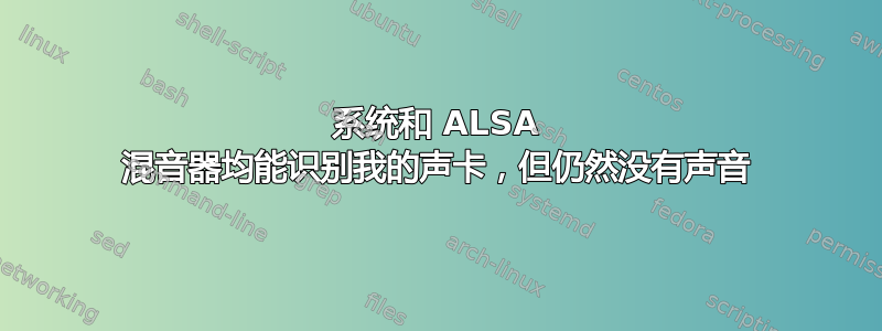 系统和 ALSA 混音器均能识别我的声卡，但仍然没有声音