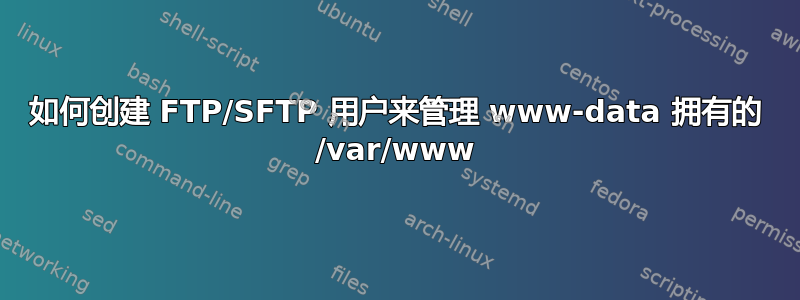 如何创建 FTP/SFTP 用户来管理 www-data 拥有的 /var/www