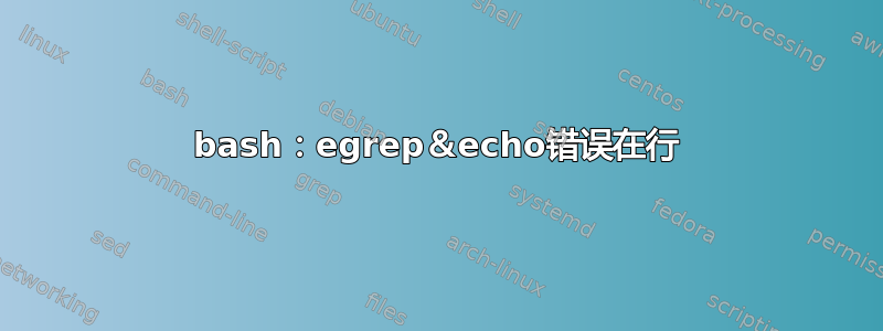 bash：egrep＆echo错误在行