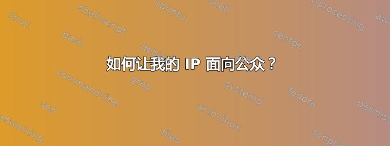 如何让我的 IP 面向公众？